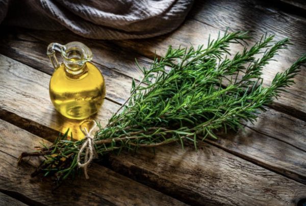 Cooking with Rosemary